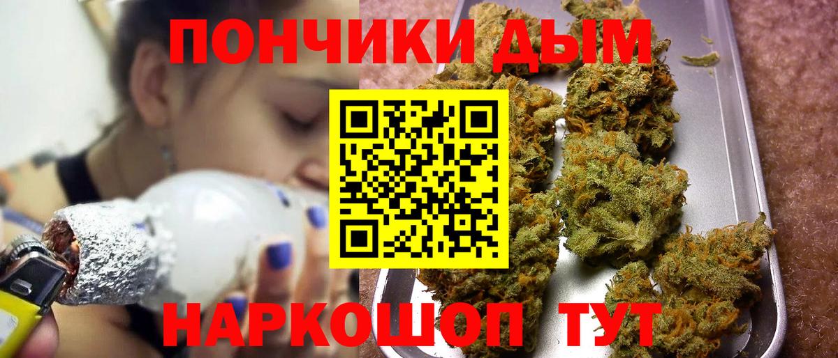 Бошки марихуана ГИДРОПОН Кузнецк